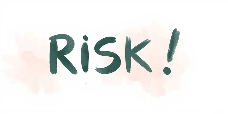 Risk Yonetimi Rehberi