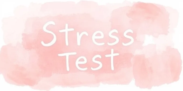 Stres Testi Nedir?